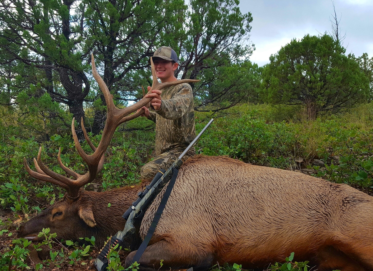 Youth Elk Hunts